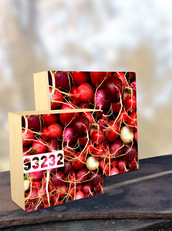 93232 Easter Egg Radish iPhone Organic Show Artist Dean Allan McCready