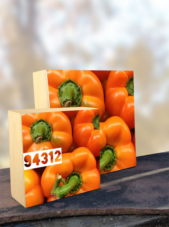 94312 Orange Bell Pepper iPhone Organic Show Artist Dean Allan McCready