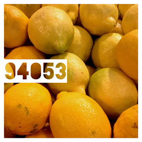 94053 Lemon iPhone Organic Show Artist Dean Allan McCready