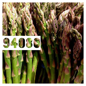 94080 Asparagus iPhone Organic Show Artist Dean Allan McCready