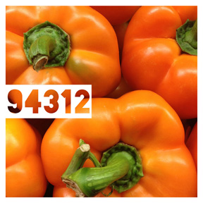 94312 Orange Bell Pepper iPhone Organic Show Artist Dean Allan McCready