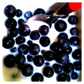 Organic Blue Berries iPhone Organic Show Artist Dean Allan McCready