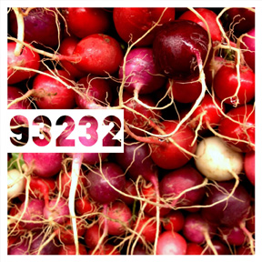 93232 Easter Egg Radish iPhone Organic Show Artist Dean Allan McCready